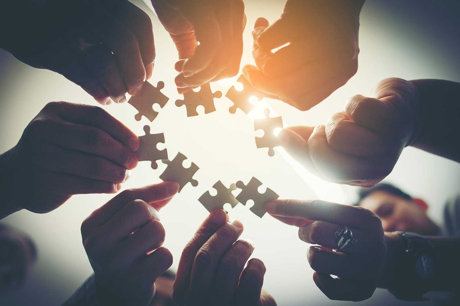 Everyone is an important jigsaw at work. Rentrée Dodgeball 2020